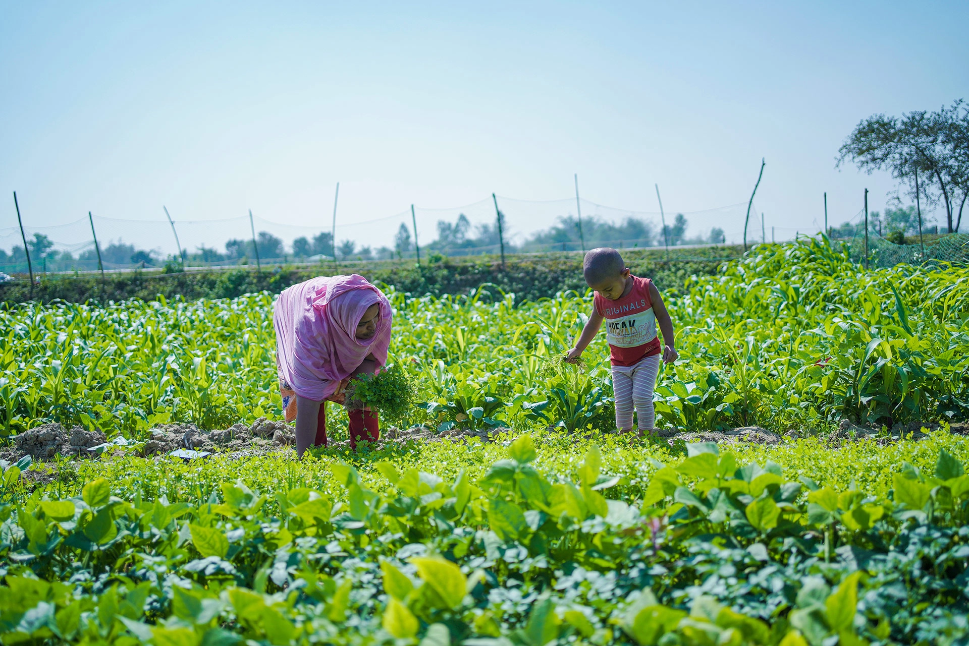 Environment and Climate Change