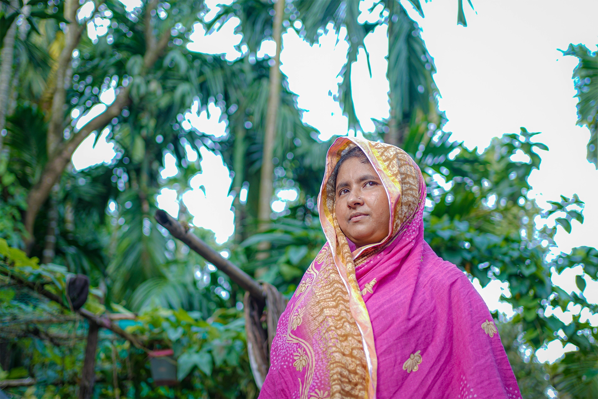 Microfinance, Poverty Alleviation and Employment Generation